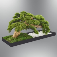 zcan Aydnlatma 1361-04 Bonsai Aa