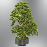 zcan Aydnlatma 1361-05 Bonsai Aa saksl