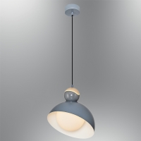 �zcan Ayd�nlatma 2828 Tekli Sark�t