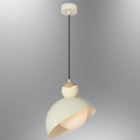 �zcan Ayd�nlatma 2828 Tekli Sark�t